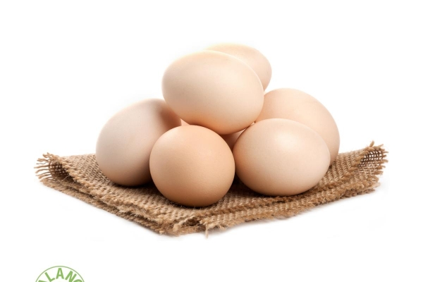 BALANCE FOOD X GREEN CONNECT: KHÉP KÍN VÒNG TUẦN HOÀN TỪ RÁC TỚI BÀN ĂN